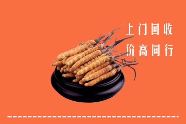 高价求购：湘西州古丈回收散虫草
