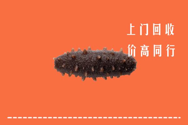 高价求购：湘西州古丈回收海参